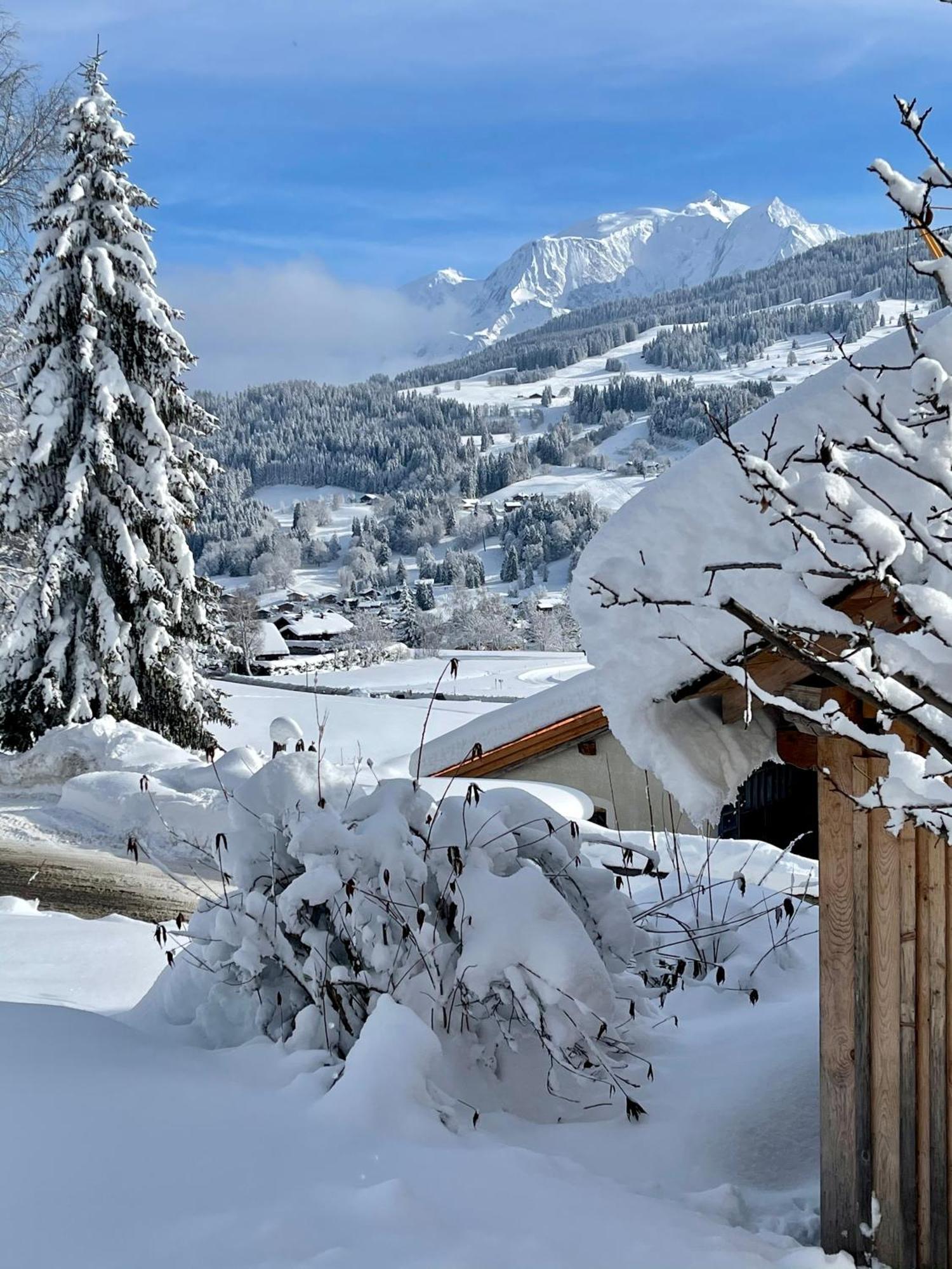 Chalet A Megeve-Vauvray - Grands Appartements , Vue Mont Blanc Demi-Quartier ภายนอก รูปภาพ